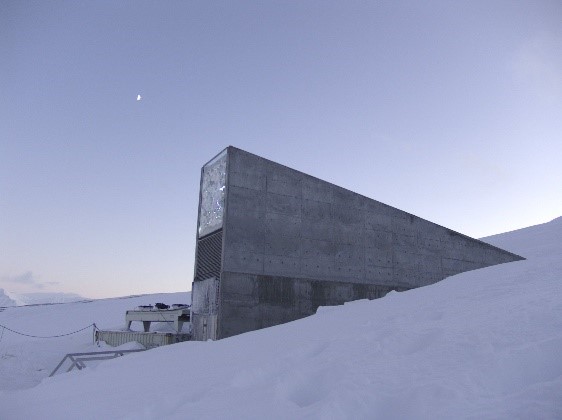 Bunker im Schnee