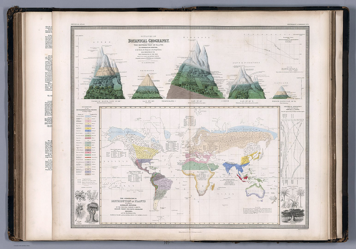 geografische Zeichnung von Bergen und Klimazonen