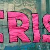 Artikelbild: „Crisis” in Contemporary History and Historiography