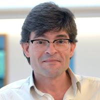 Farbiges Portrait eines Mannes mit Brille