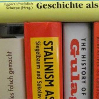 Ansicht von Büchern in einem Regal