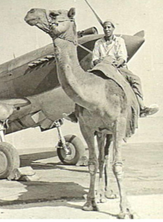 Zweiter Weltkrieg, Nordafrika, westliche Wüste, 23. Dezember 1941. Fotograf: George Silk, Quelle: Australian War Memorial Nr. 008151 (detail), https://www.awm.gov.au/collection/008151 [30.06.2024], public domain
