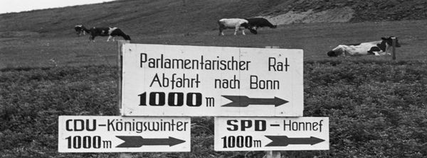 Teaserbild