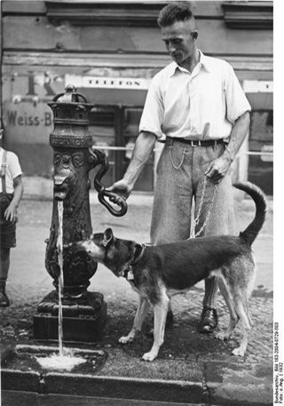 Hund und Mensch am Brunnen, Berlin 1932. Original-Bildunterschrift Scherl: „Im Kampf gegen die Hitze. Der vierbeinige Hausgenosse erhält am Brunnen eine Erfrischung 1932 25107-32”. Fotograf: unbekannt, Quelle: Wikimedia Commons / Bundesarchiv Bild 183-2004-0729-503, Lizenz: CC-BY-SA 3.0